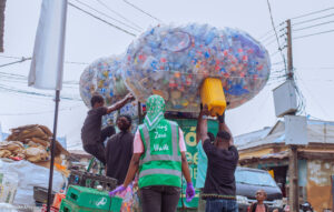 National Environmental Standards and Regulations Enforcement Agency (NESREA).